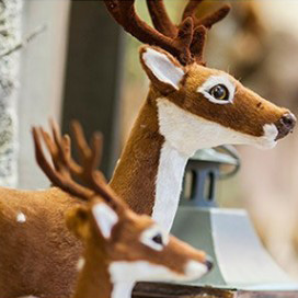 xristoygenniatika zoakia